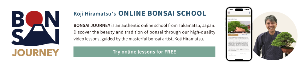 BONSAI JOURNEY ONLINE SCHOOL