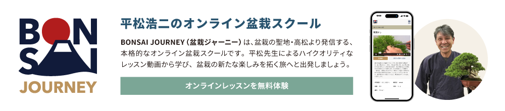 BONSAI JOURNEY 盆栽オンラインスクール